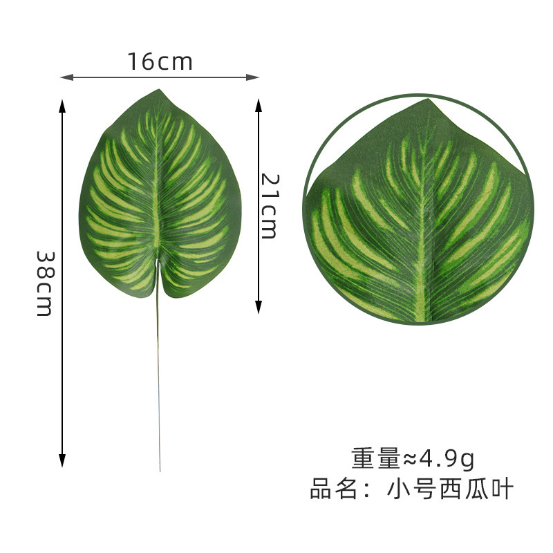 New watermelon leaf trumpet
