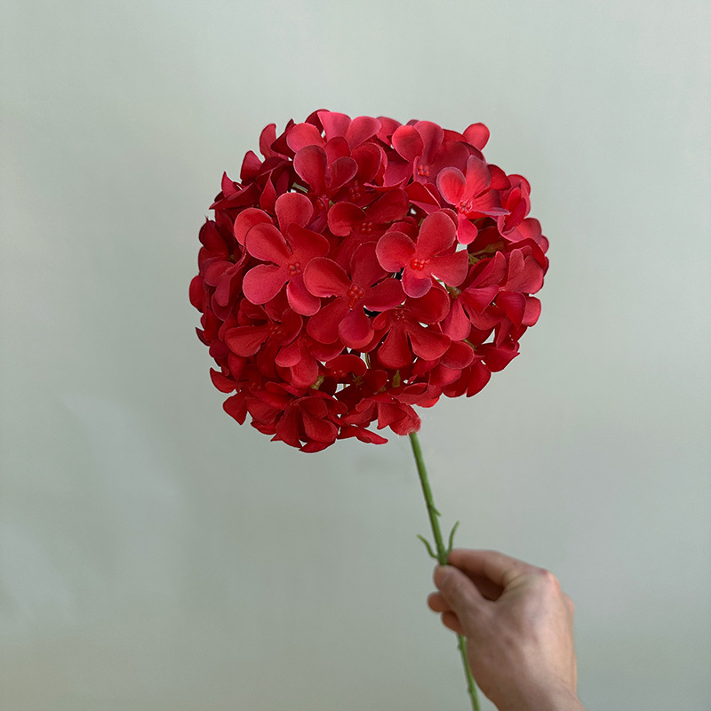 Rouge