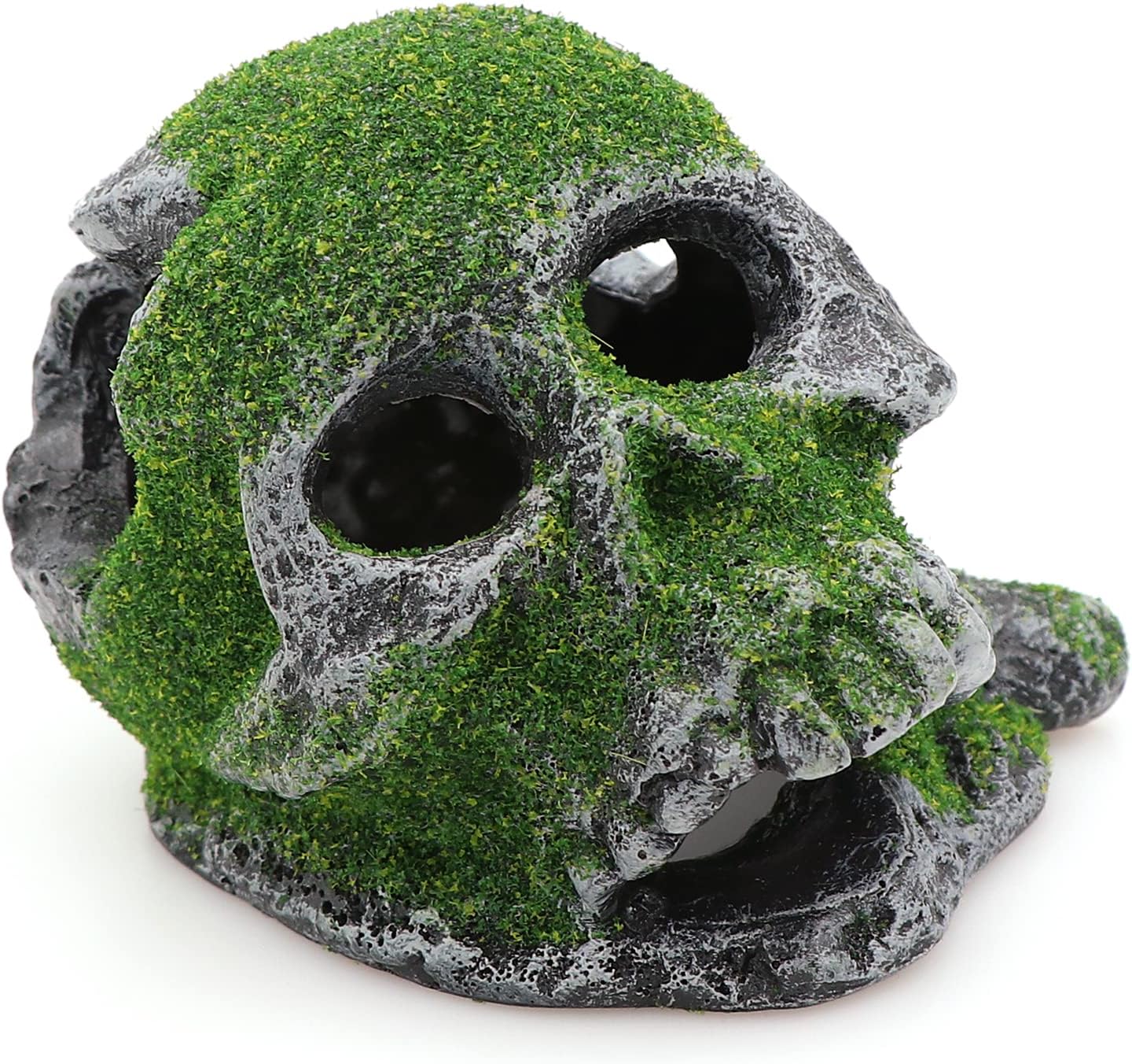 Aquarium skull