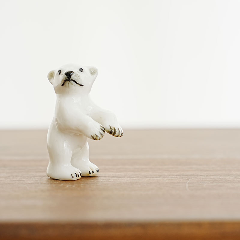 Oso blanco