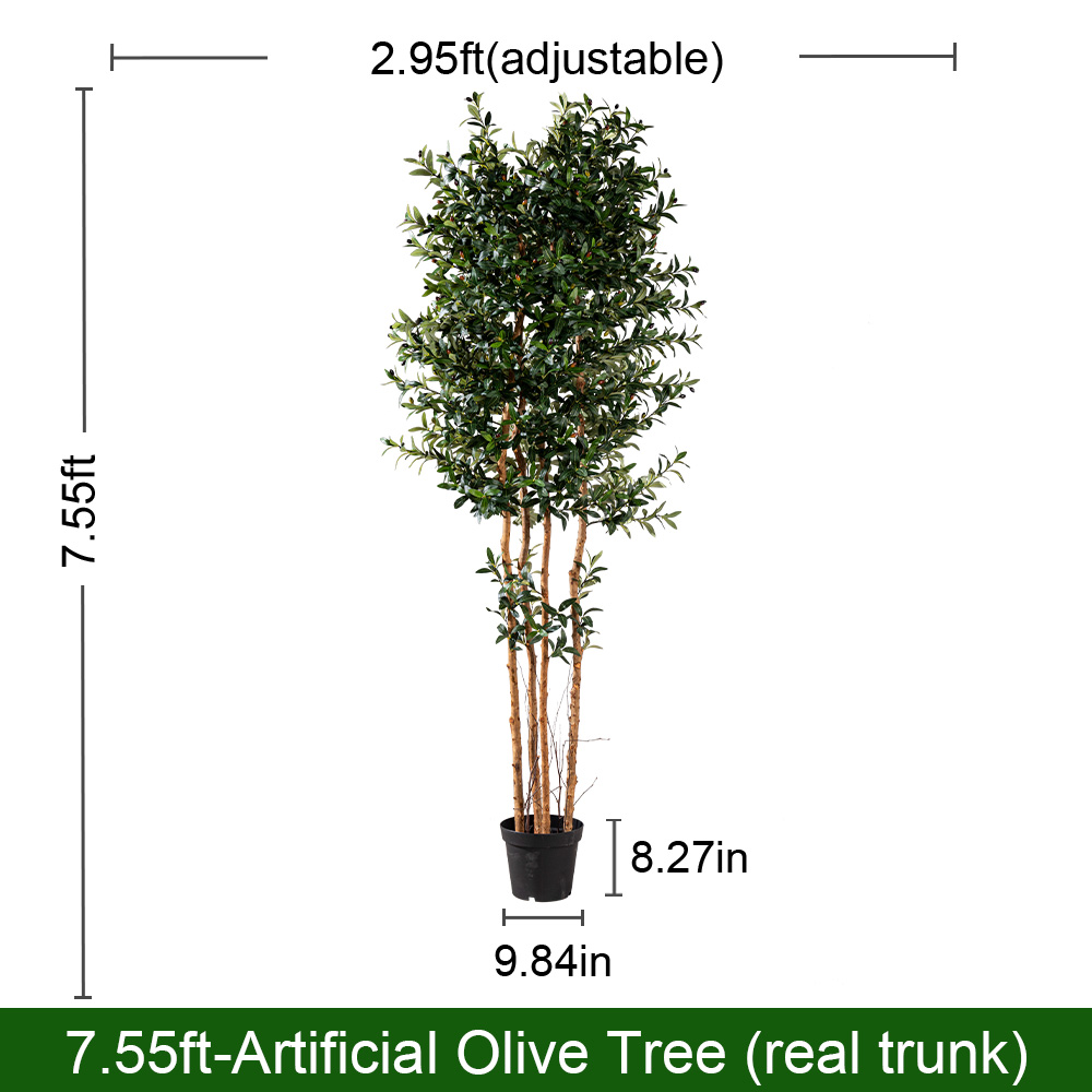 240cm