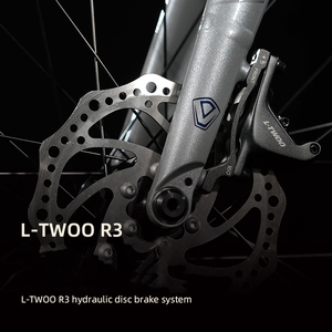 JAVA VELOCE 3 bici da strada ciclismo bici da corsa LTWOO R3 freno a disco idraulico con asse 16 velocità Java velocità 3 cavo nascosto 700C - Product Image 6
