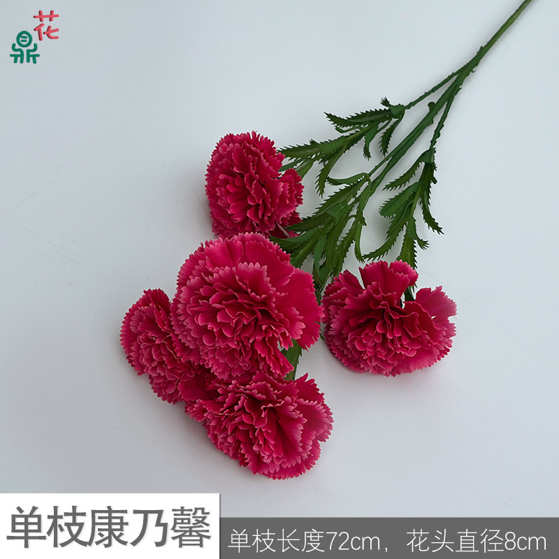 คาร์เนชั่นเดี่ยว XC สีแดงกุหลาบ