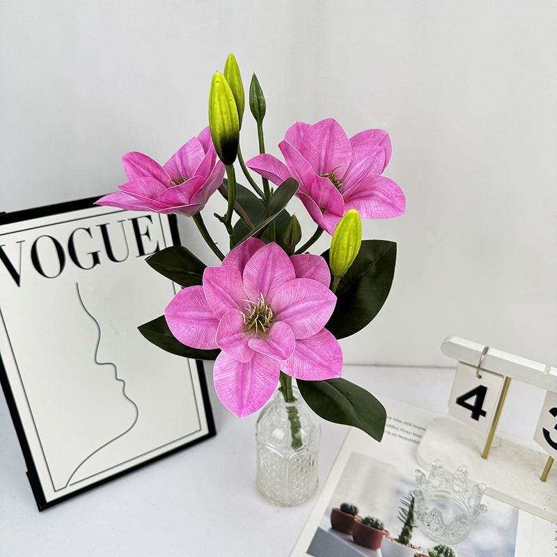 กุหลาบต้นแมดเด