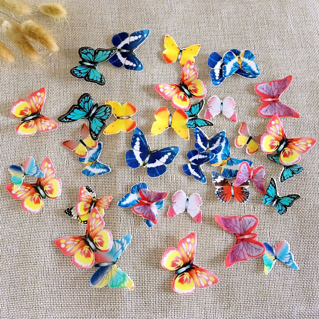 50pcs papillon