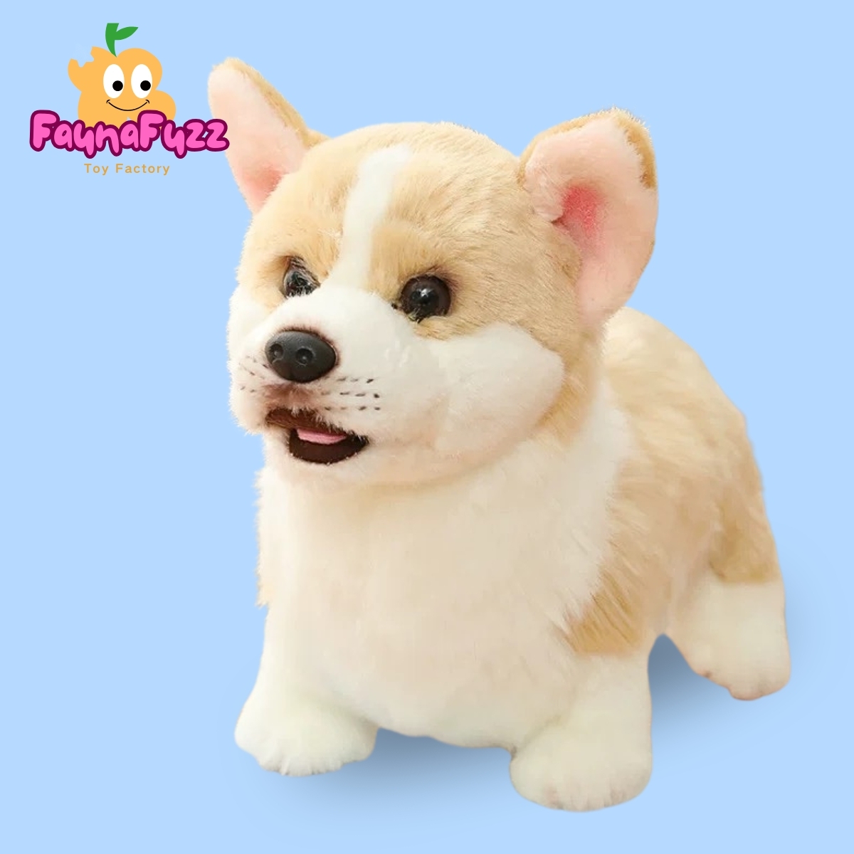 Welsh Corgi