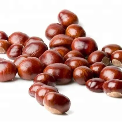 2023 nuovo raccolto castagne fresche dolci alimenti di prima qualità castagne crude all'ingrosso