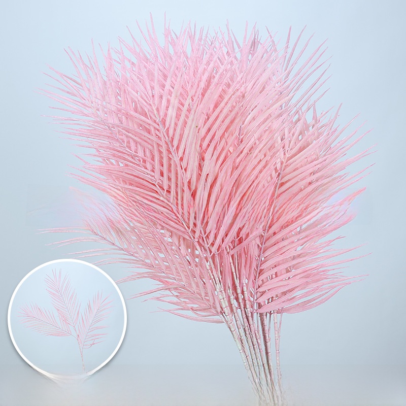 3-pronged Areca Palm/1 stem