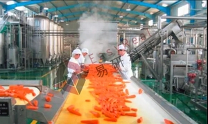 Cenoura automatizada que descasca a lavagem e a linha de produção do suco para o processamento industrial-escala