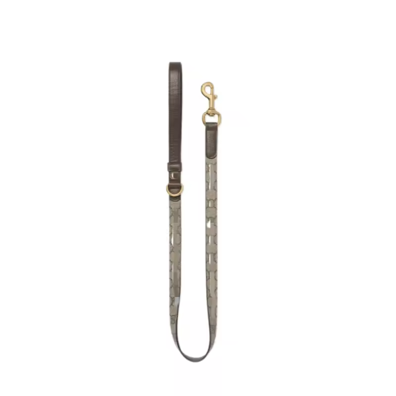 brown leash