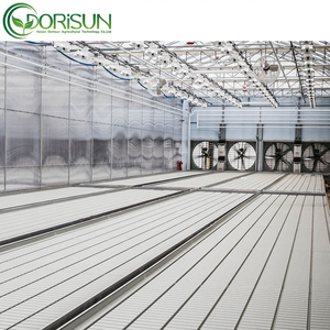 Lũ phát triển khay 2x8 2x6 3x6 ABS <span class=keywords><strong>EBB</strong></span> và dòng chảy bán buôn thoát nước đa cấp thủy canh phát triển Lũ lụt phát triển khay Lũ lụt phát triển - Product Image 4