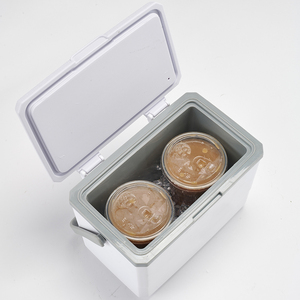 3L便携式冰箱冷藏箱，用于冰块存放，适用于户外野营野餐，定制礼品，批发