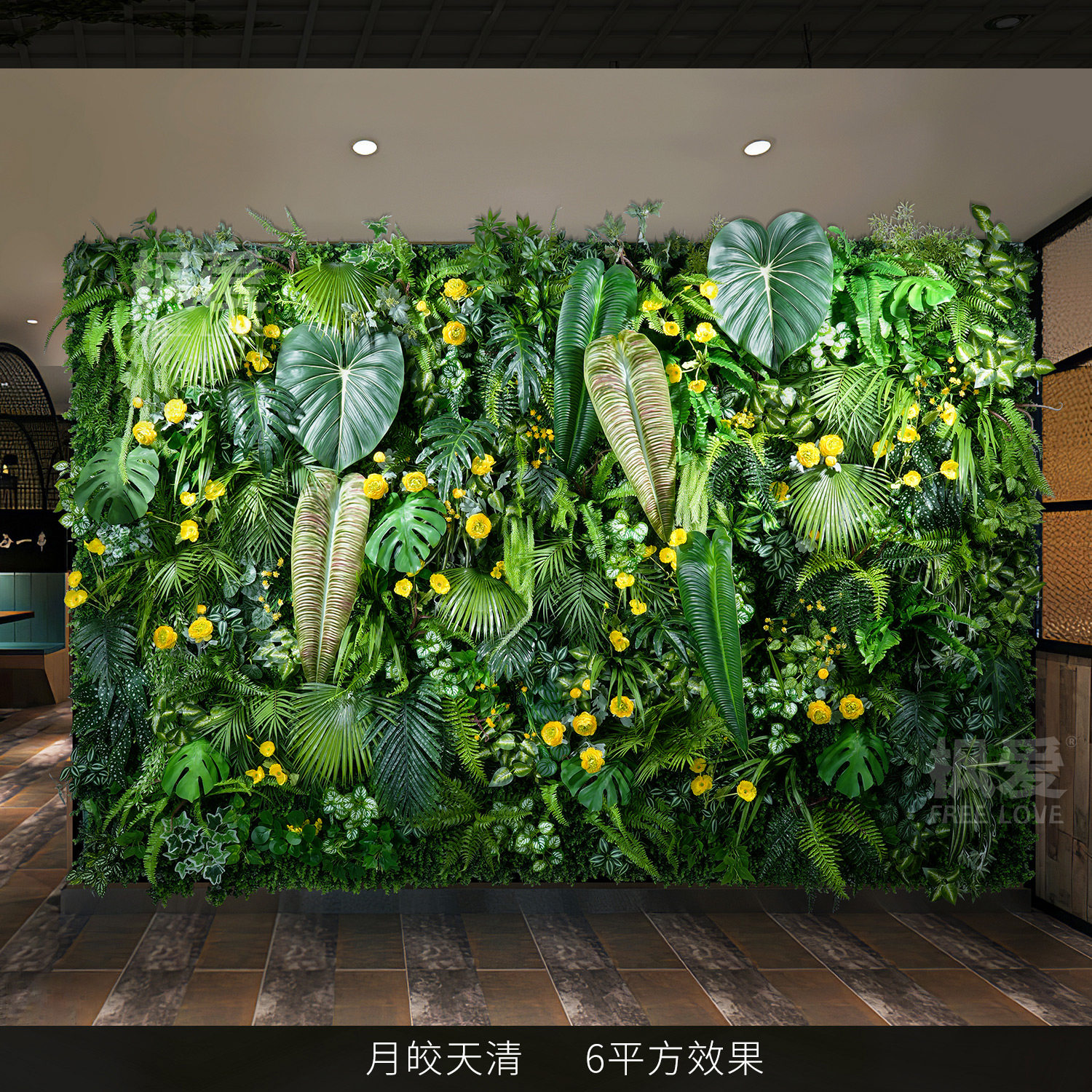 Moon jiao tian qing