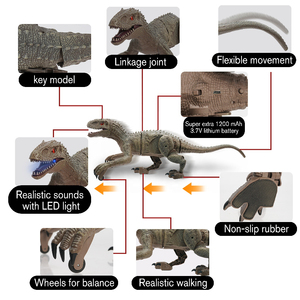 ZG B/O uzaktan kumandalı Robot RC dinozor oyuncaklar simüle yürüyüş salıncak radyo kontrol oyuncak uzaktan kumanda dinozor sesleri ile - Product Image 4