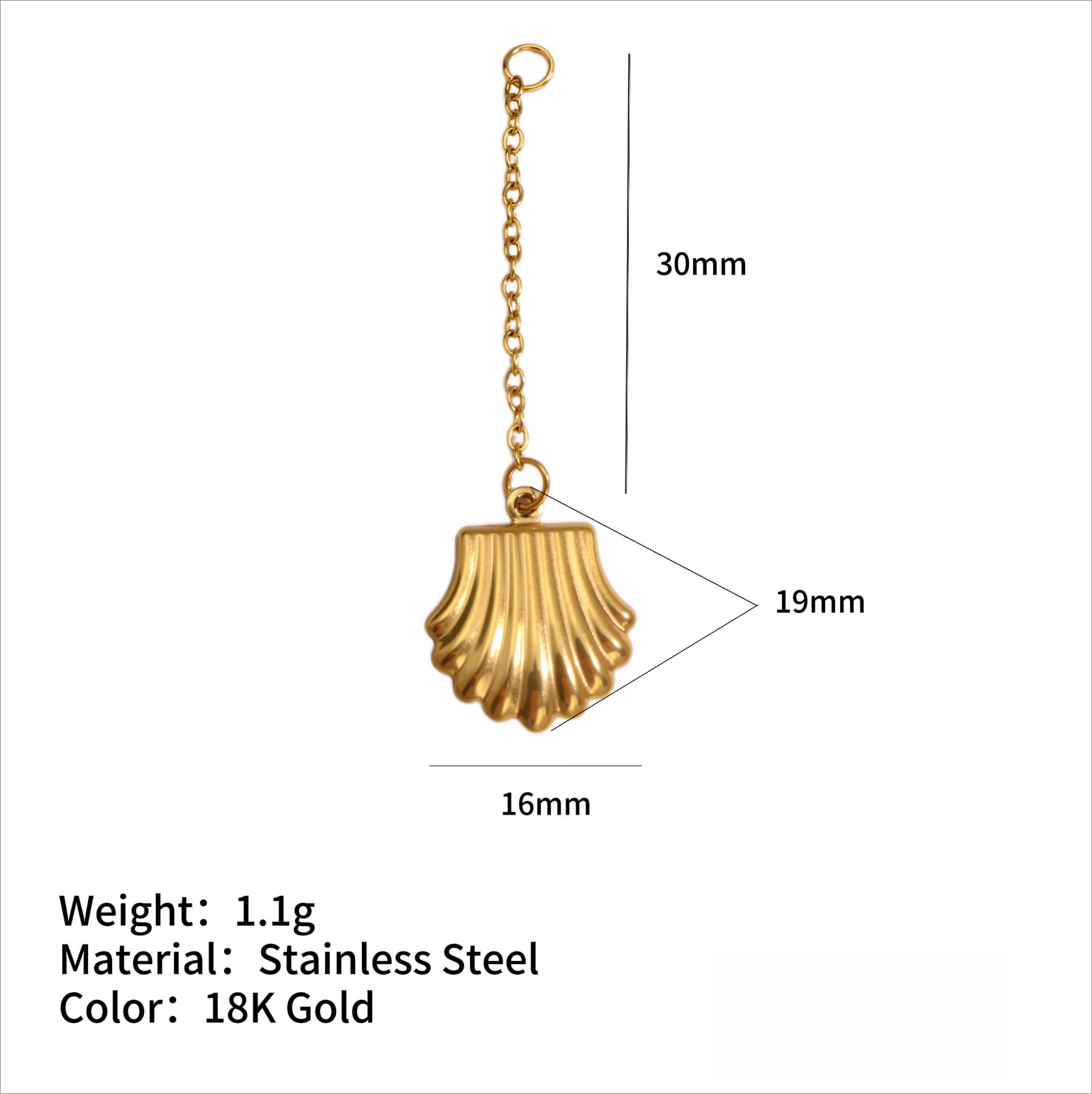 หอยเชลล์ 16มม.*19มม.