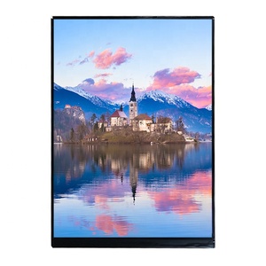LQ079L1SX04 <strong>Sharp</strong> <strong>LCD</strong> Panel 7.9 Inch <strong>LCD</strong> <strong>Display</strong> 1536x2048 High Resolution <strong>LCD</strong> Panel Screen <strong>For</strong> Pad Tablet - Product Image 3