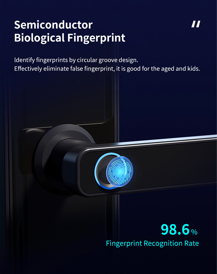 Economic Keyless Handle Fingerprint Door Lock with Wifi Tuya APP