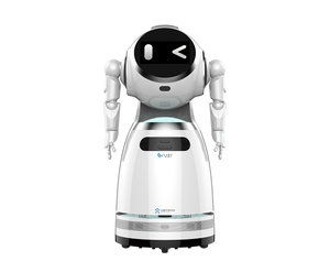ราคาถูกโรงงานราคาให้คำปรึกษาแผนกต้อนรับธุรกิจยินดีต้อนรับ AI บริการหุ่นยนต์สำหรับการค้าปลีก - Product Image 3
