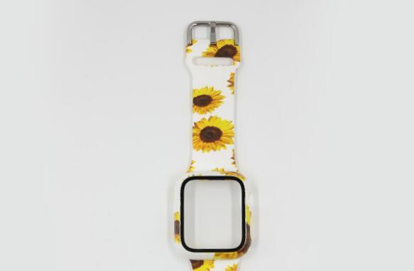Tournesol blanc