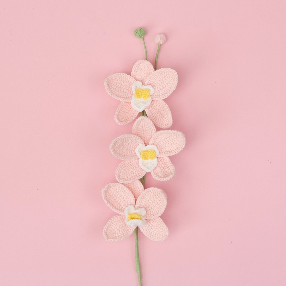 Rami di orchidea rosa-tre con farfalle
