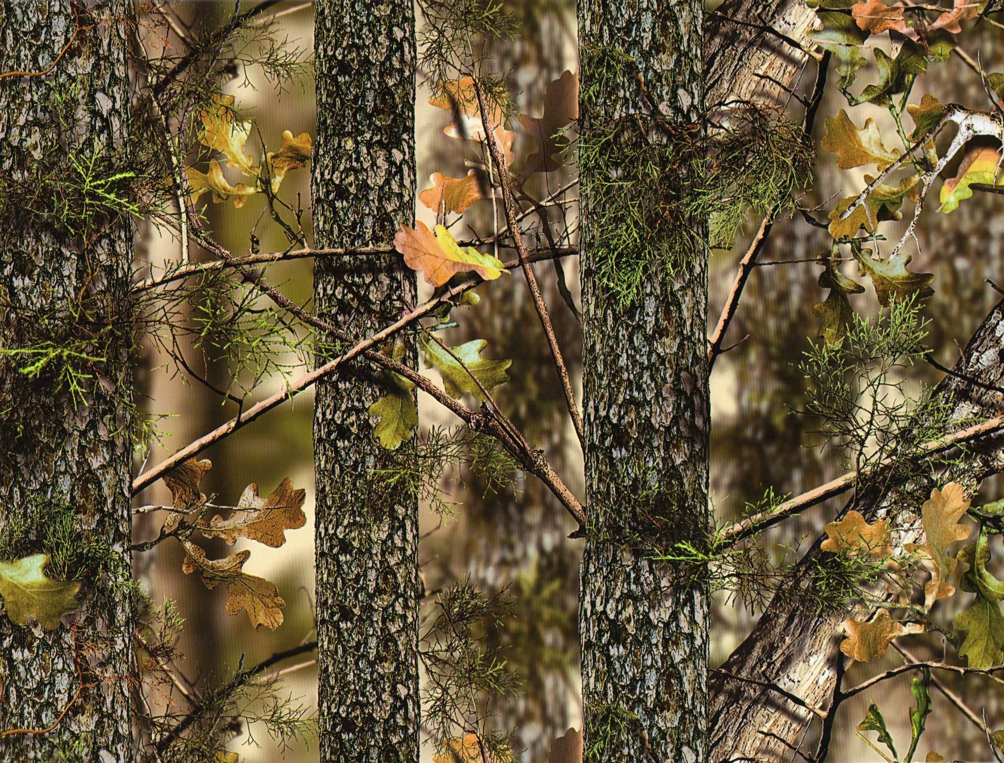 Camo