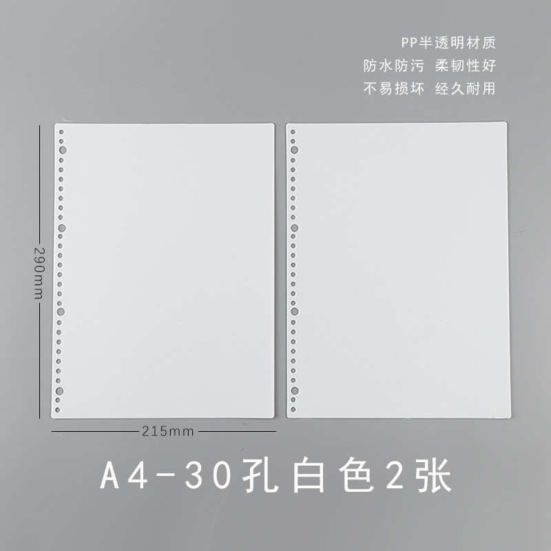 A4 white (2 sheets with PP cover)