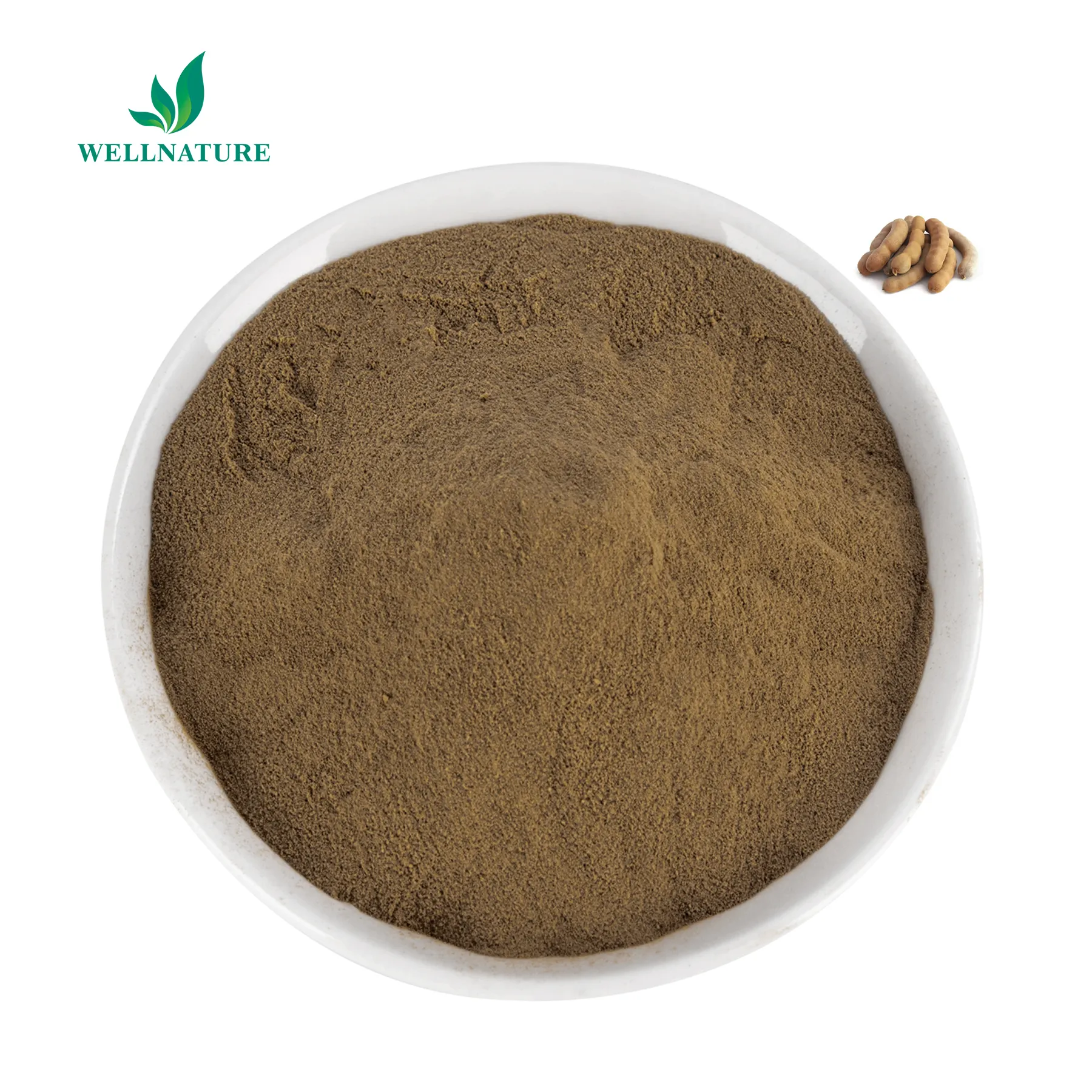 Wellnature suministro precio de fábrica Extracto de hierbas naturales polvo de semilla de tamarindo Extracto de tamarindo