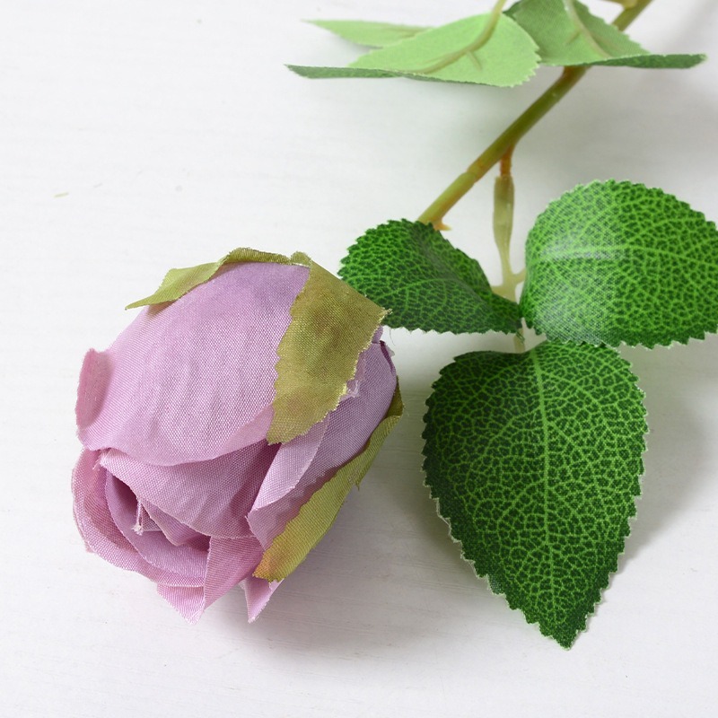 Pourpre