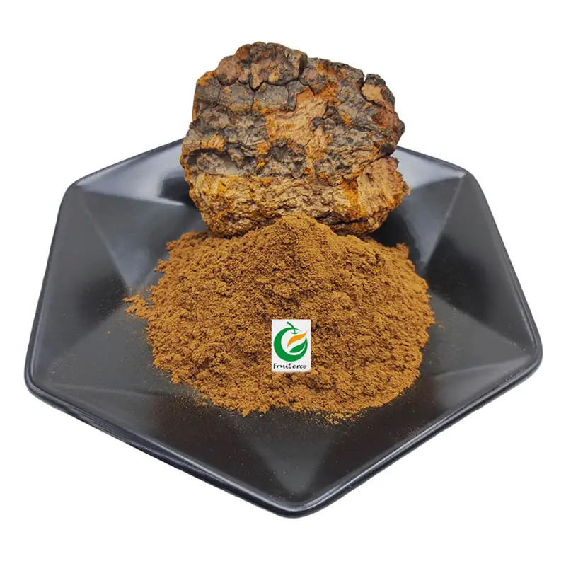 Wholesale Bulk Natural Organic Inonotus Obliquus Extract Powder Chaga Mushroom Extract