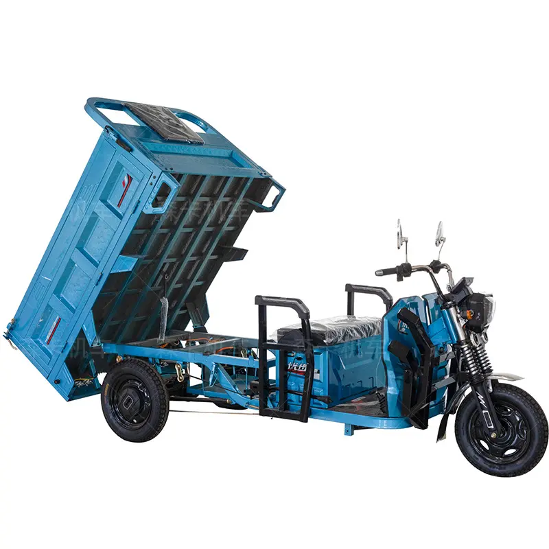 Best Quality Electric Three Wheeler Factory Direct 3 Wheel Tricycle Bike for Passenger and Cargo in Big Stock