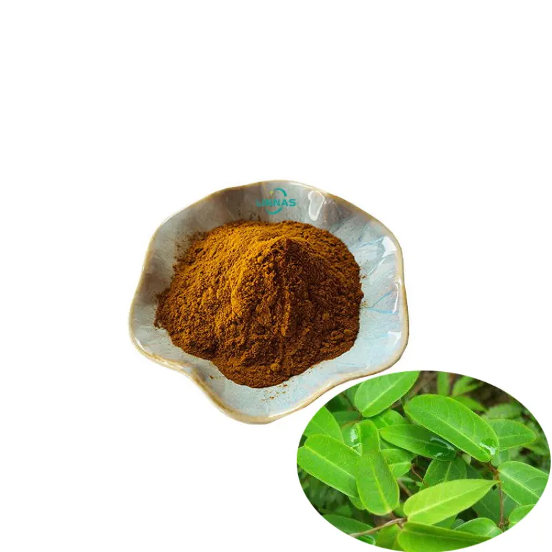 Wholesale Plant Extract 10:1 Cryptolepis Sanguinolenta Extract Powder