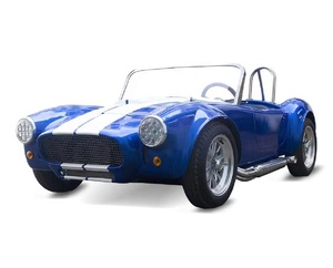 トランク2200W電気ミニHotrodミニカーサポートカスタマイズ付きの幅広ゴルフカート - Product Image 1