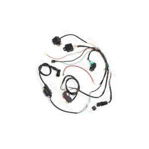 Hoàn Thành Đầy Đủ Điện Dây Loom Dây Khai Thác 70cc 90cc 110cc 125cc Quad Bike ATV Buggy Động Cơ Khởi Động Điện - Product Image 3