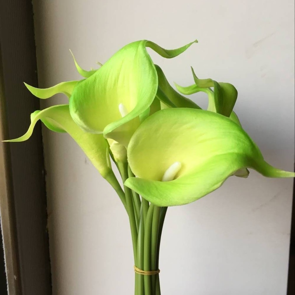 7 verde claro
