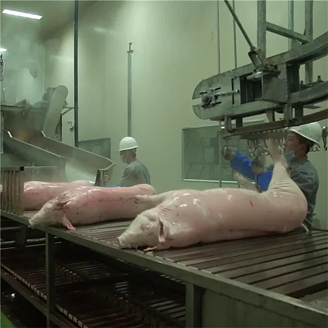 Domuz kasabı Abattoir et işlem hattı için komple ekmek mezbaha makinesi