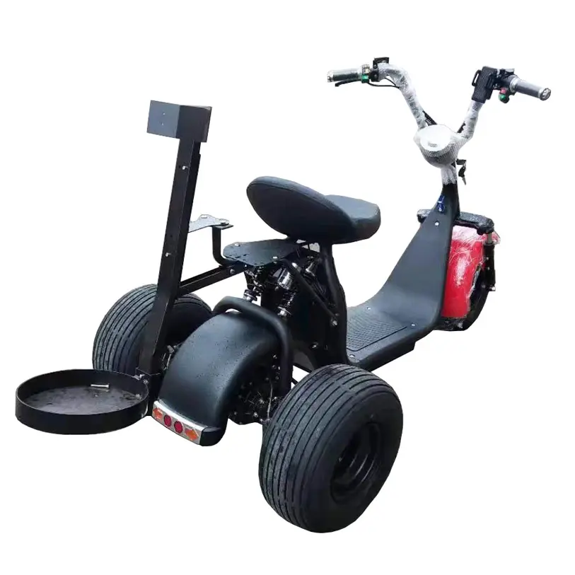 Emark EEC COC Certificate 60V 20AH Battery Electric Scooter 2000W Big Motor Fat Tire Motorcycles Three Wheel OEM citycoco golf