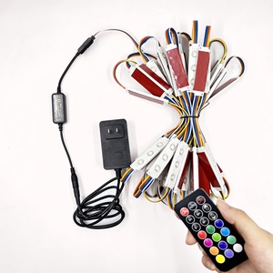 1 Set RGBW 1W modulo LED dimmerabile con adattatore di controllo remoto per insegne Decorative e pubblicità luce scatole IP65 Rating - Product Image 1