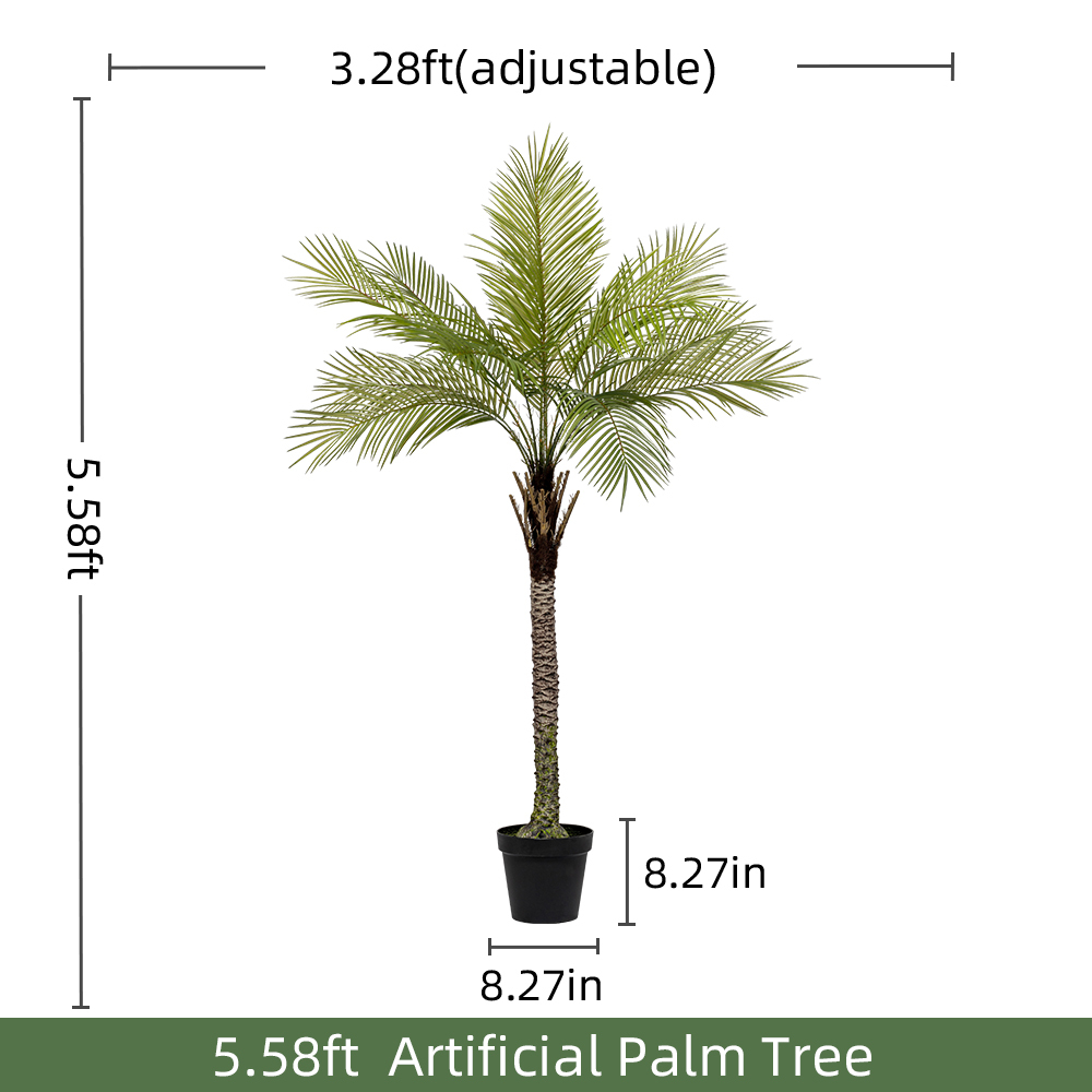 5.9FT/170CM