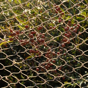 Eco-Friendly Stone Color Plastic Knitted Bird <strong>Net</strong> Mesh Bird Proof <strong>Net</strong> for Fruit Tree - Product Image 1