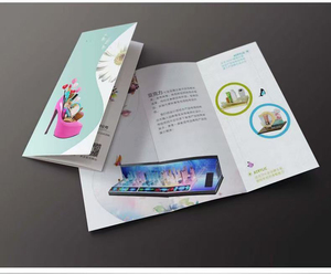 Custom Catalog Brochure DesignColor <strong>Flyer</strong> with Magazine Booklet Printing - Product Image 3
