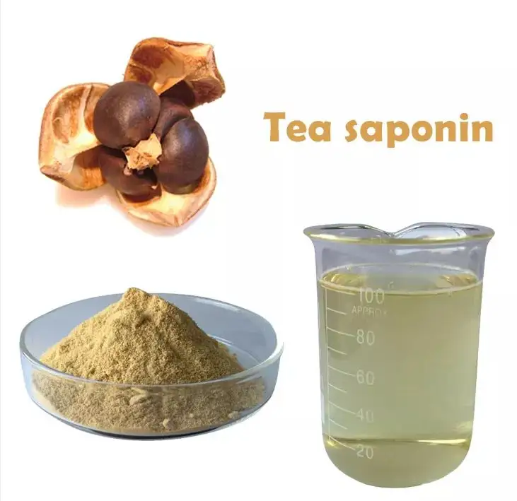 Camelia Oeifera Extrakt Tee Saponin Power Tee samen Saponin für die Landwirtschaft