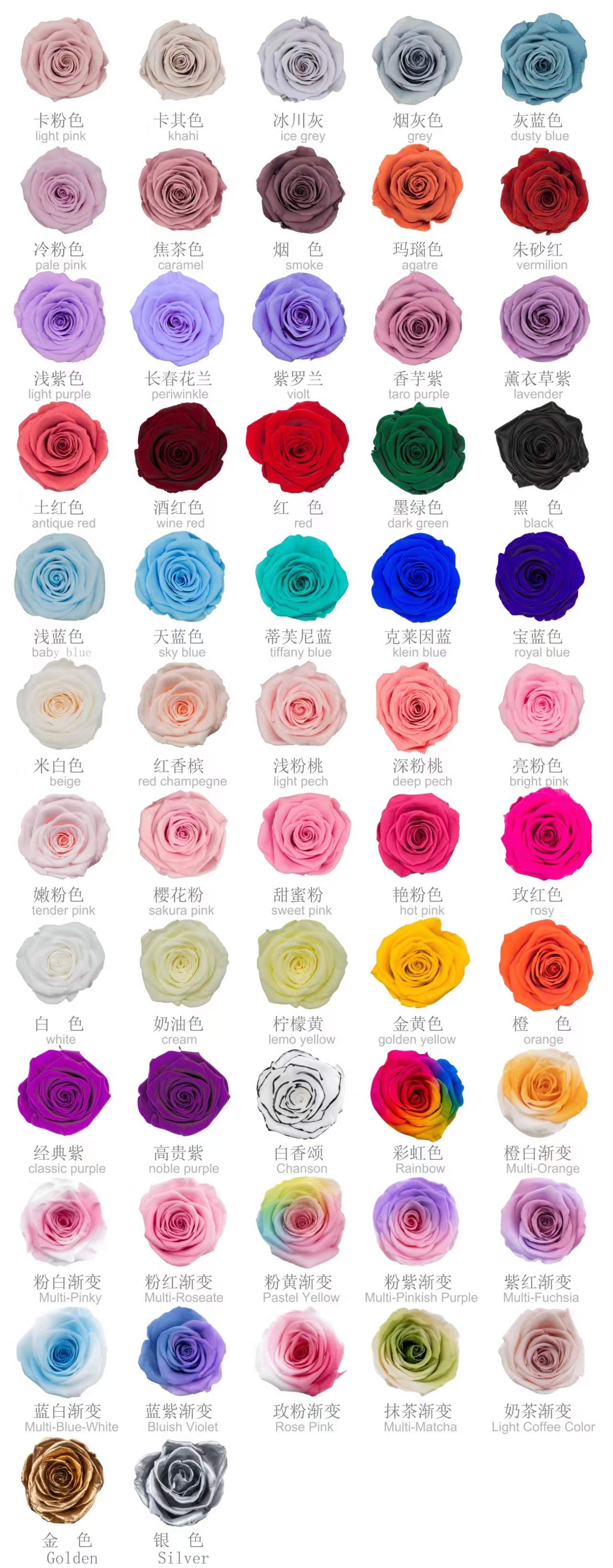 Rose