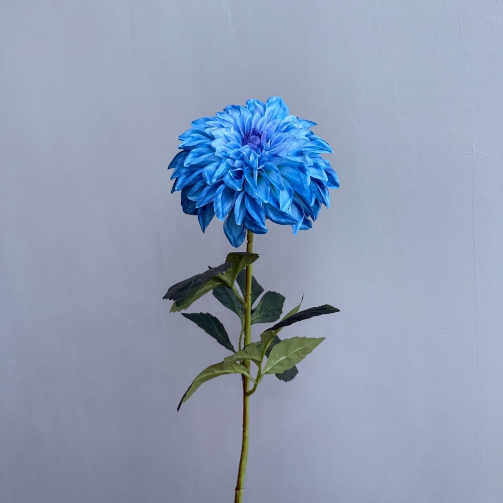 8# blu