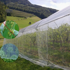 180*160*150 Greenhouse Polypropylene Insect <strong>Netting</strong> 40 Mesh Heavy Duty HDPE <strong>Bug</strong> Anti-Insect Protection for Crops - Product Image 5