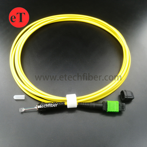 データセンター12コア8C光ファイバーアレイMT-FA GMPO-FAケーブルオスメスコネクタ24コア6コアMPOパッチコード - Product Image 2