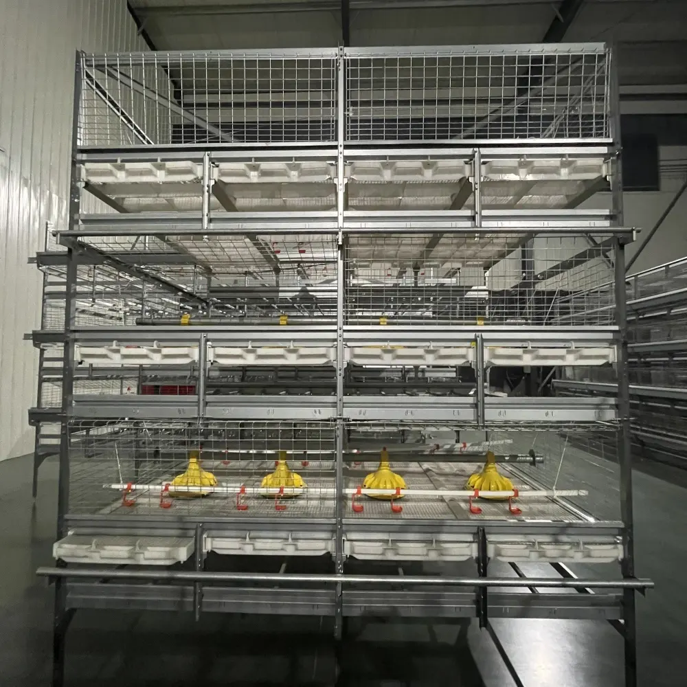 Factory Price Pull-Out Slat Type Automatic System Harvesting Broiler Chicken Cages