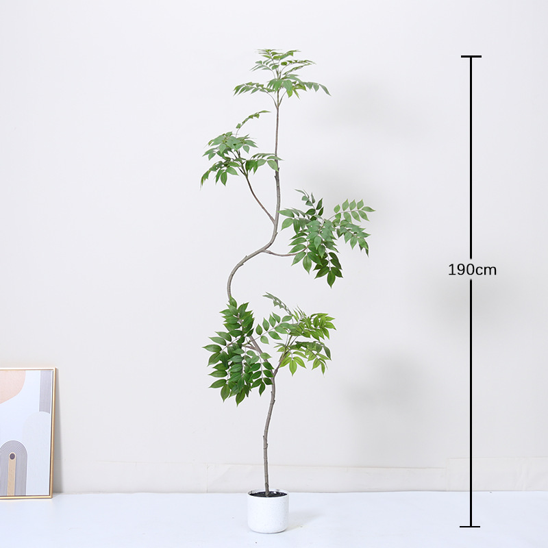 Bois laqué de forme irrégulière - 190 cm