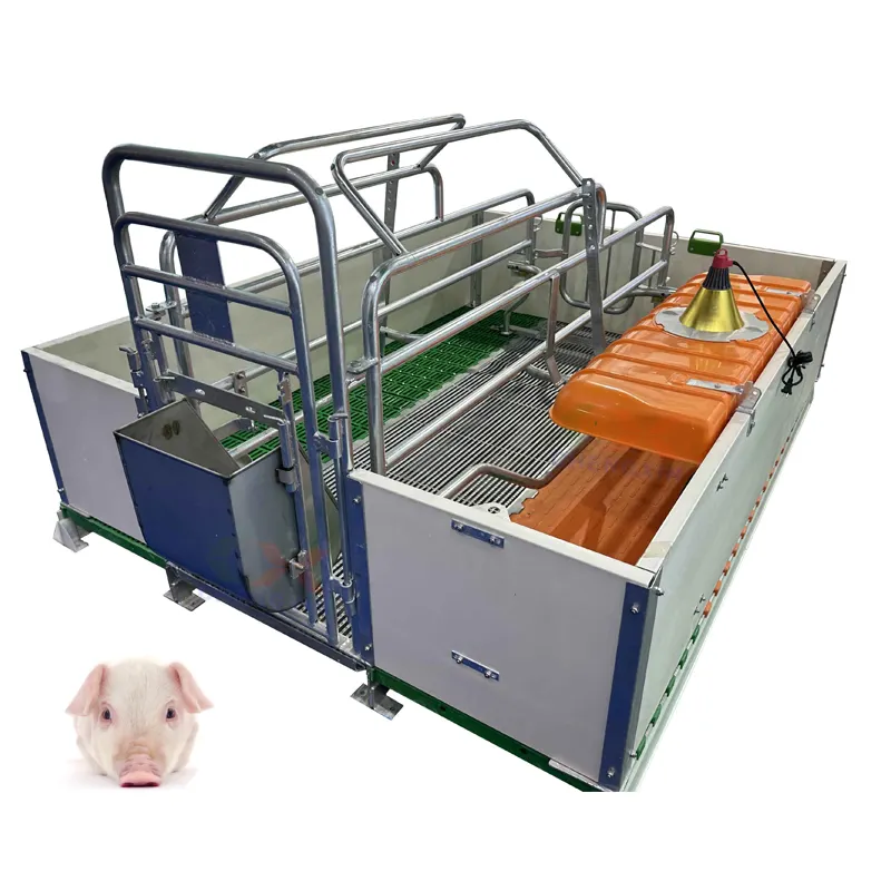 Chine vente chaude en acier inoxydable personnalisé OEM ODM équipement de ferme ovine machines de traitement des aliments pour porc mouton vache ferme