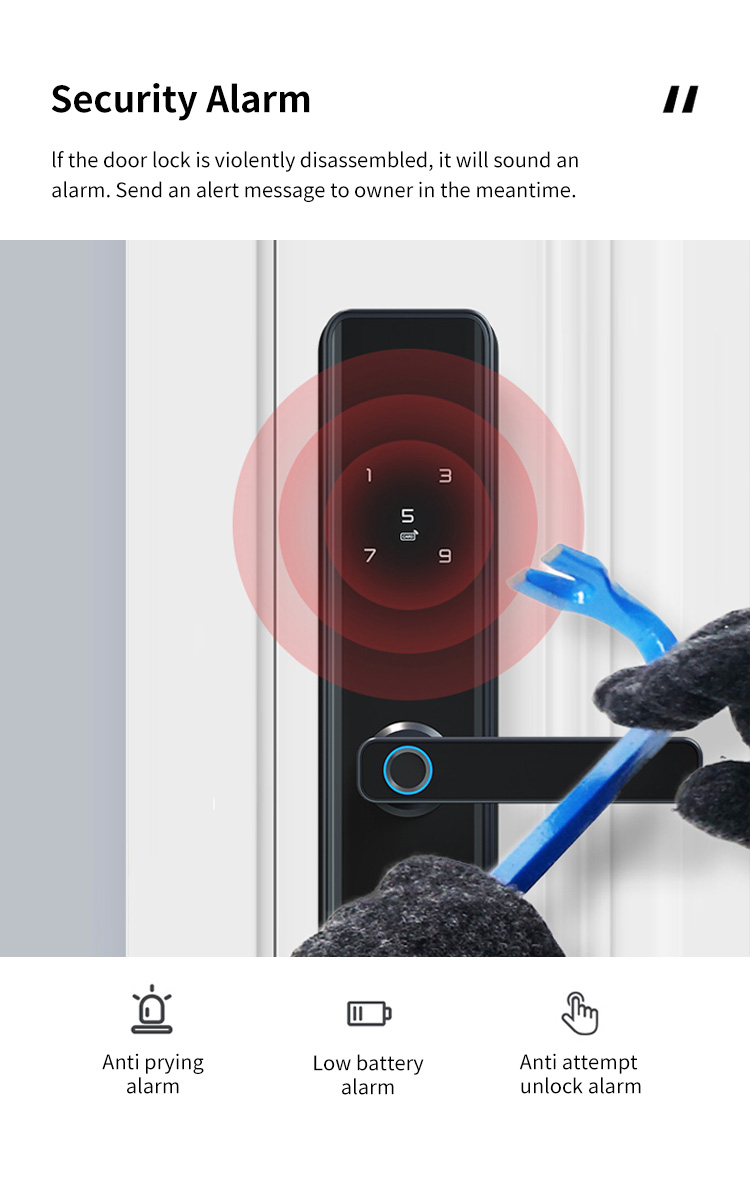 Economic Keyless Handle Fingerprint Door Lock with Wifi Tuya APP
