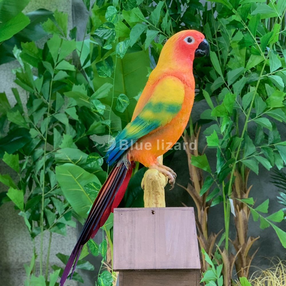 Naturaleza